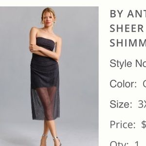 NWT Strapless Sheer Anthro Dress